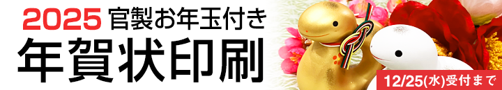 2025年 官製お年玉付き年賀状印刷